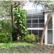 3745 ALMERIA AVE #1-S