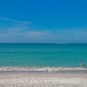 1105 GULF OF MEXICO DR #501