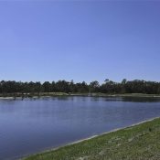 Listing MFR507980083