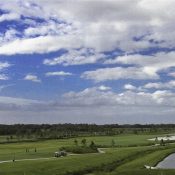 Listing MFR507987338