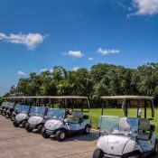 Listing MFR507991840