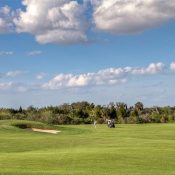 Listing MFR507991840