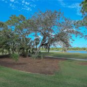 Listing MFR513276489