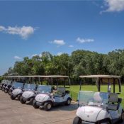 Listing MFR513276489