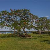 3806 GULF OF MEXICO DR #C111