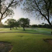 226 SOUTHAMPTON LN #257