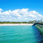 Listing MFR590911290