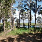 9817 NE COUNTY ROAD 1469