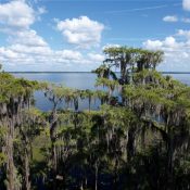 9817 NE COUNTY ROAD 1469