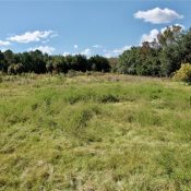 9817 NE COUNTY ROAD 1469