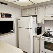 3528 LAKE BAYSHORE DR #115