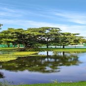 1272 SIESTA BAYSIDE DR #1272-C