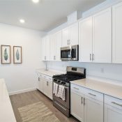 5236 BLUE CRUSH ST