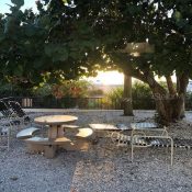 1001 BENJAMIN FRANKLIN DR #503