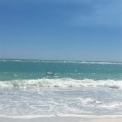 Listing MFR570891090