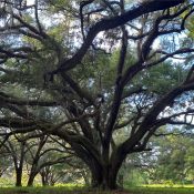 18001 SE HAWTHORNE RD