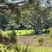 18001 SE HAWTHORNE RD