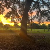 18001 SE HAWTHORNE RD