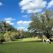 18001 SE HAWTHORNE RD