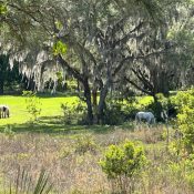 18001 SE HAWTHORNE RD