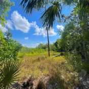 W IRLO BRONSON MEMORIAL HWY