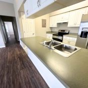 1005 EAGLE POND DR #1005