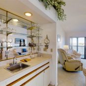 448 BOUCHELLE DR #305