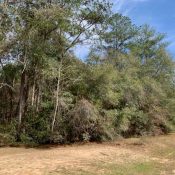 167 SPARKLEBERRY BLVD