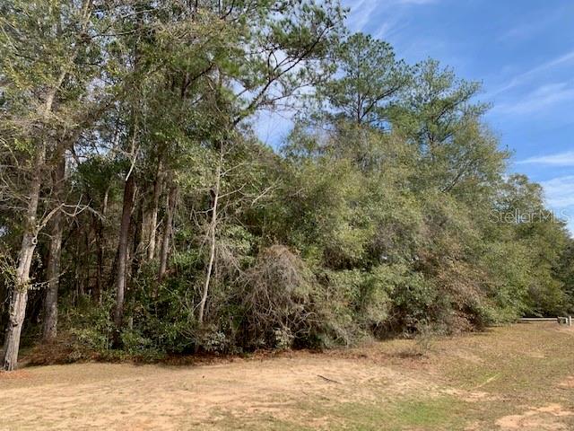 167 SPARKLEBERRY BLVD