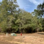 167 SPARKLEBERRY BLVD