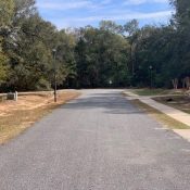 167 SPARKLEBERRY BLVD