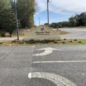 167 SPARKLEBERRY BLVD