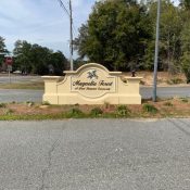 167 SPARKLEBERRY BLVD