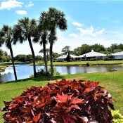 448 CERROMAR RD #189